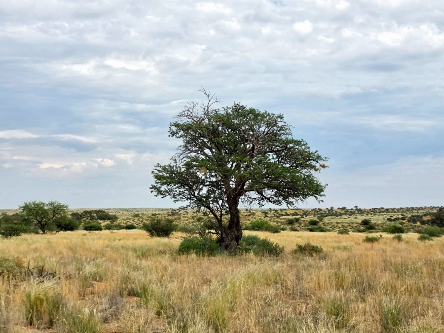 Commercial Property for Sale in Upington Rural Northern Cape